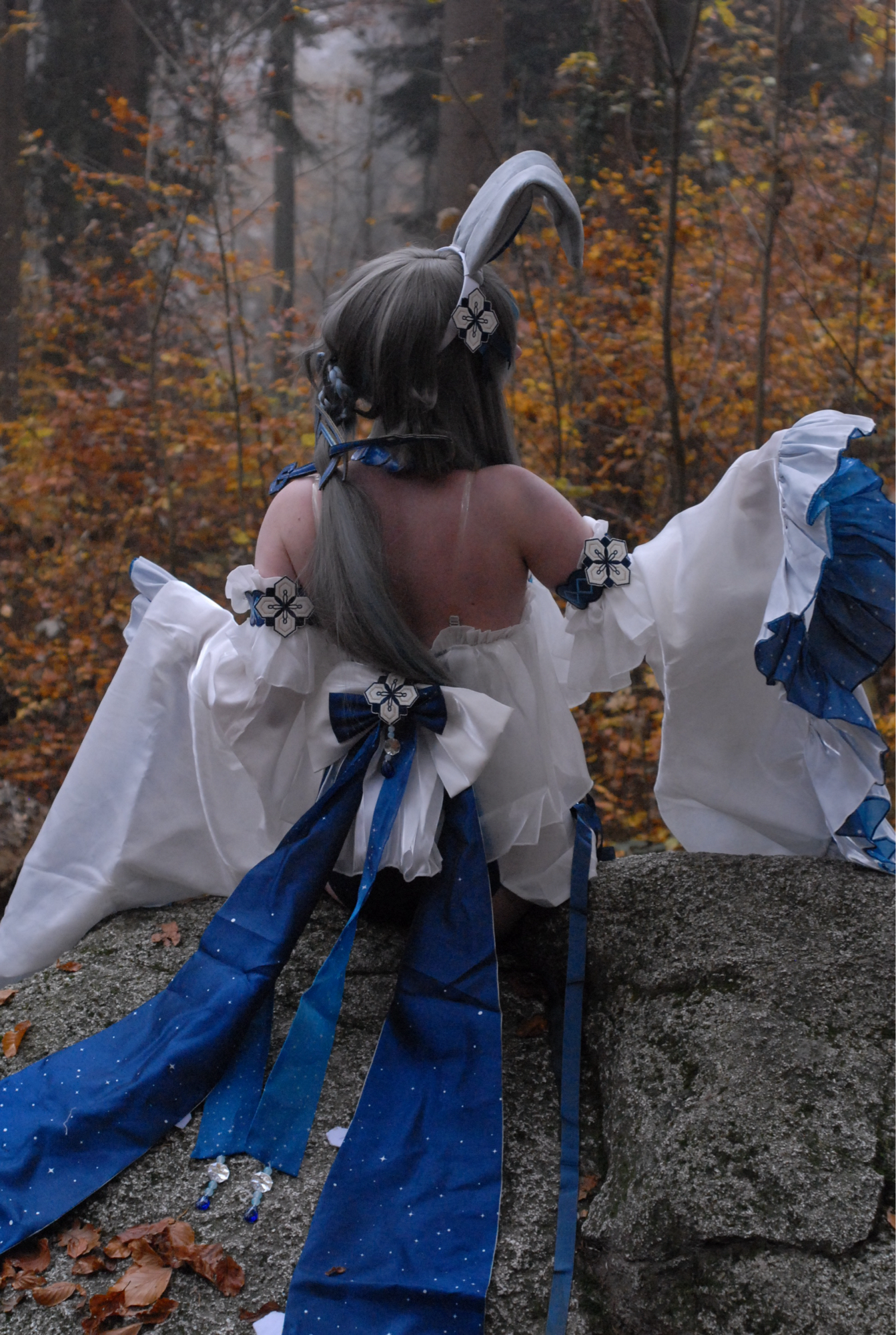 Guizhong Bunny - Photo 7