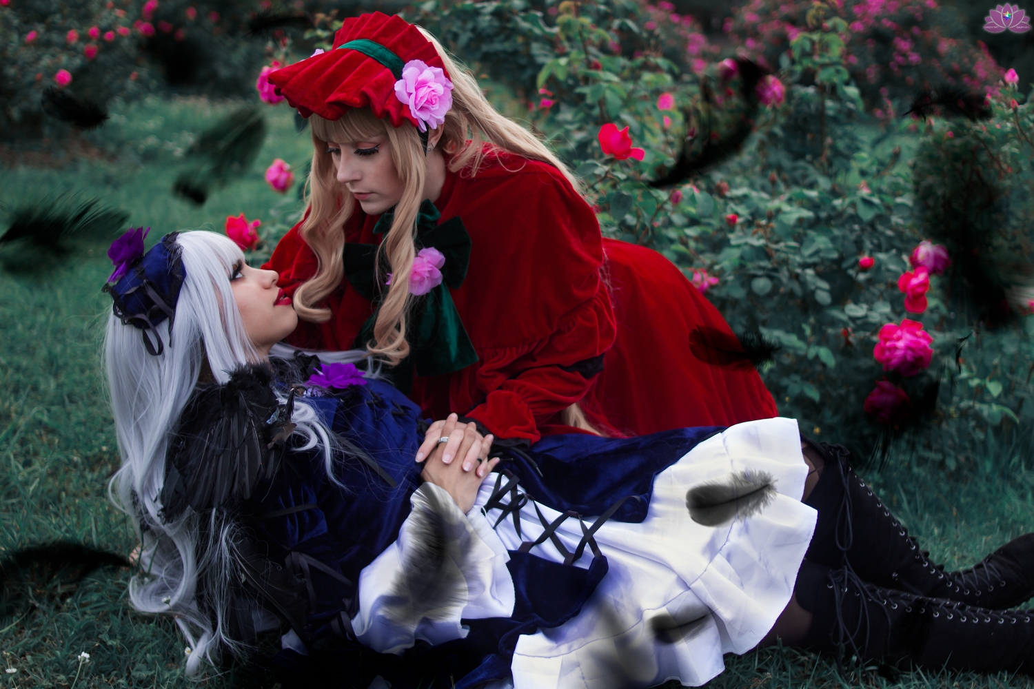 Duo rozen maiden - Photo 3