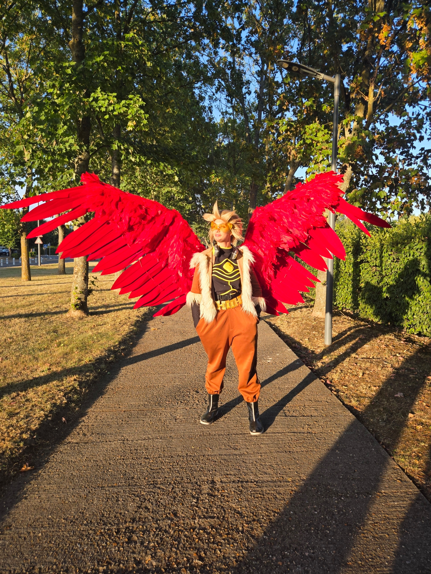 Hawks — photo 25