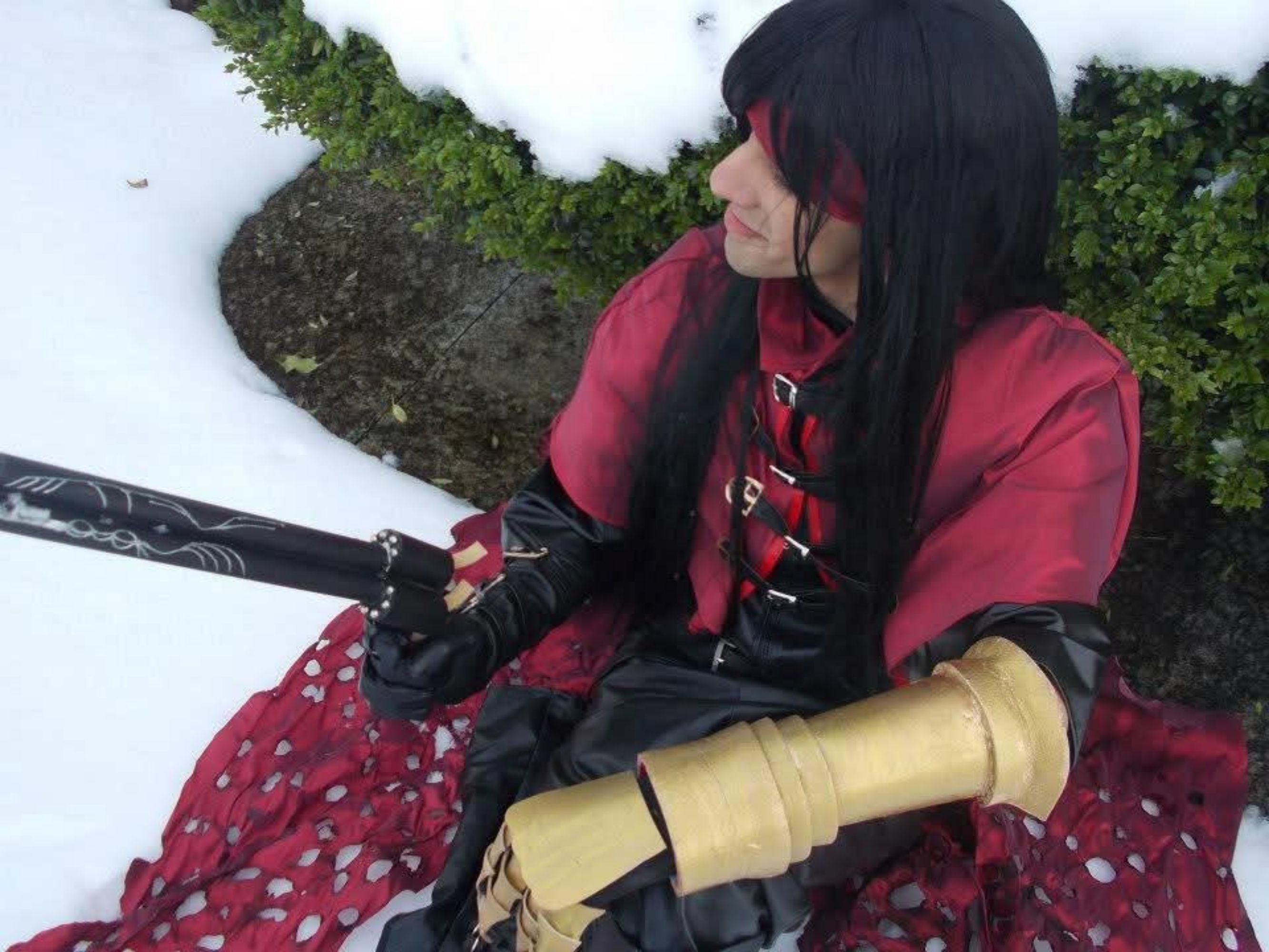 Vincent valentine — photo 15