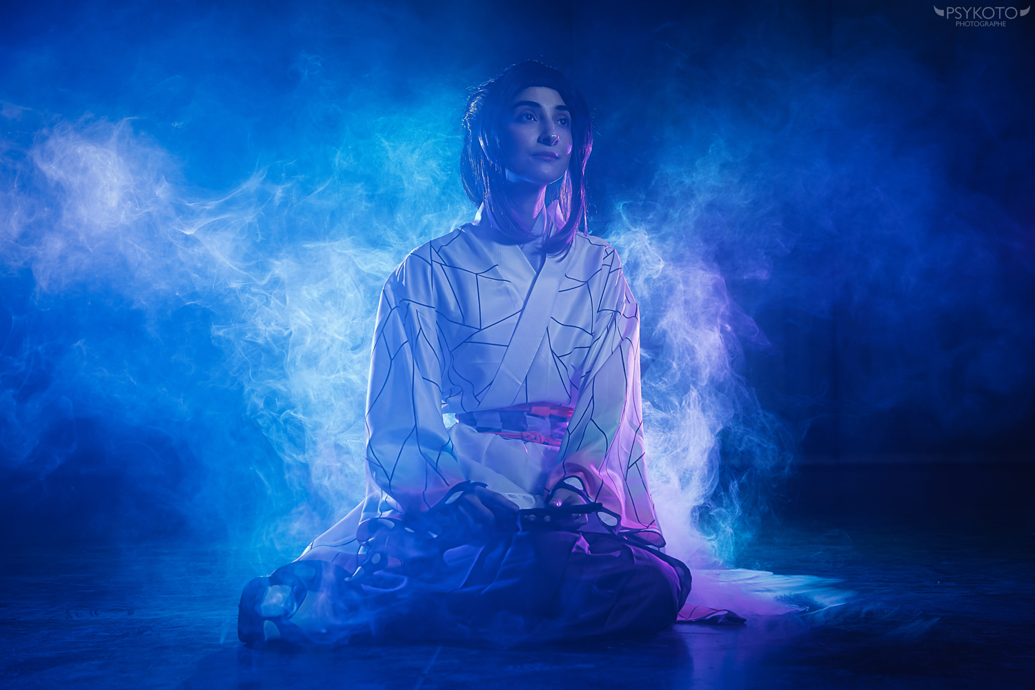 Shinobu Maid - Photo 5