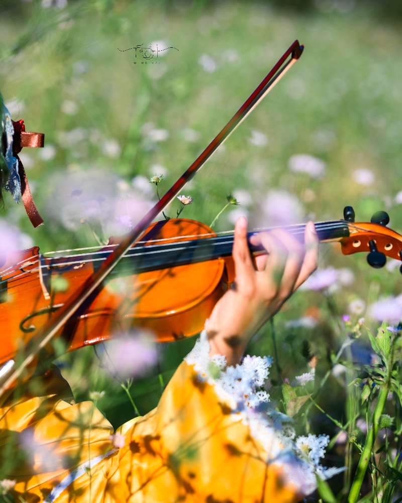 Kanaria by Deby - Photo 10