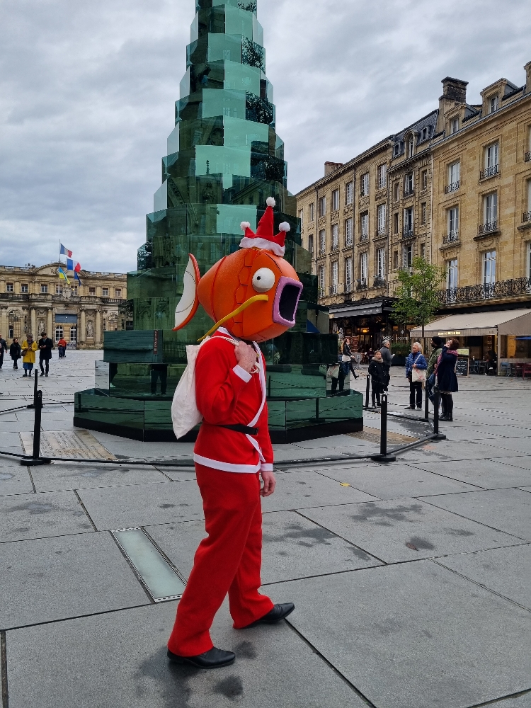 Magicarpe à Noël  - Photo 6