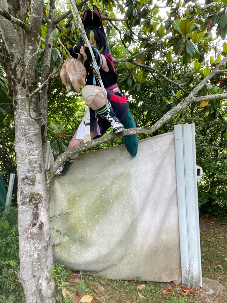 Tighnari  - Photo 18