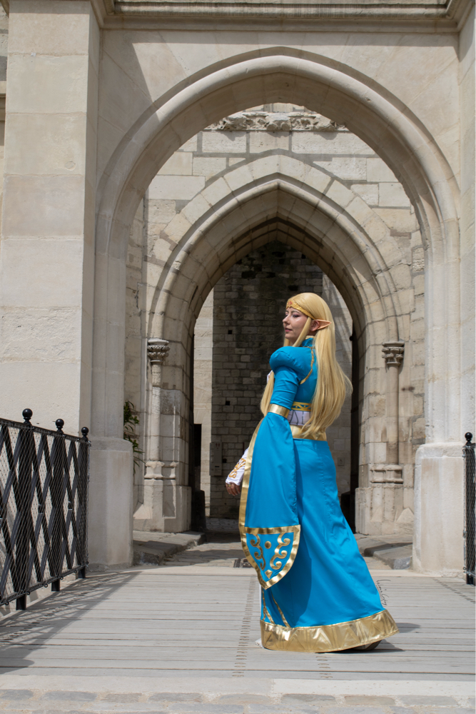 Zelda — photo 14