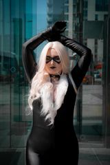 Black cat preview 3