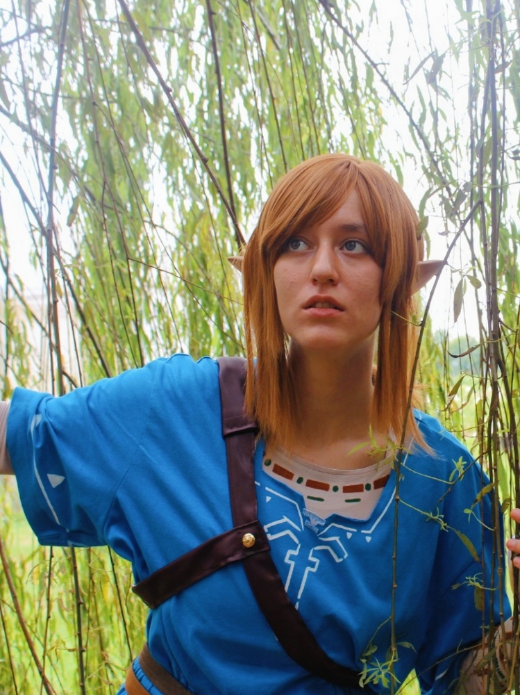 Link (Botw) - Photo 30