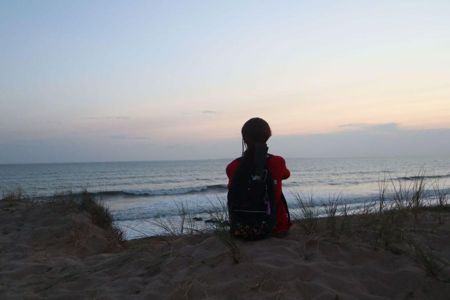 _s1lent_ech0splay - Ellie TLOU beach