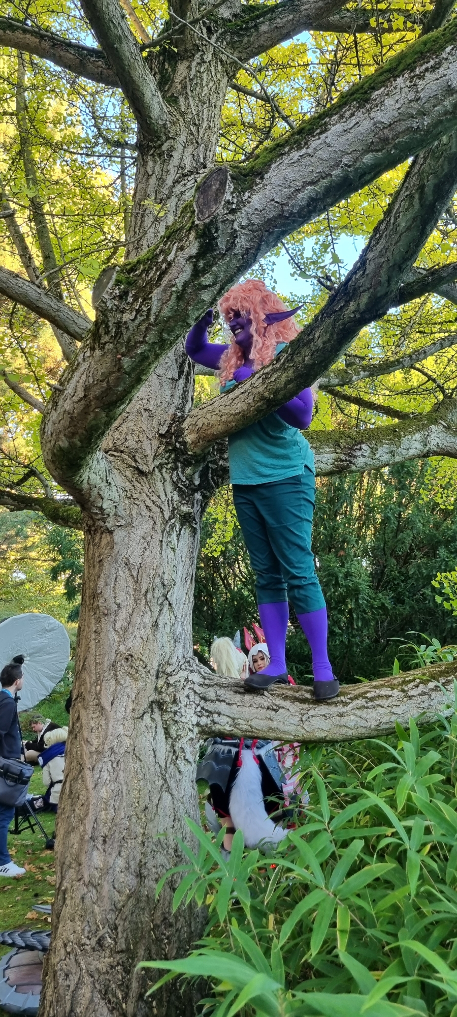 Alinua — photo 11