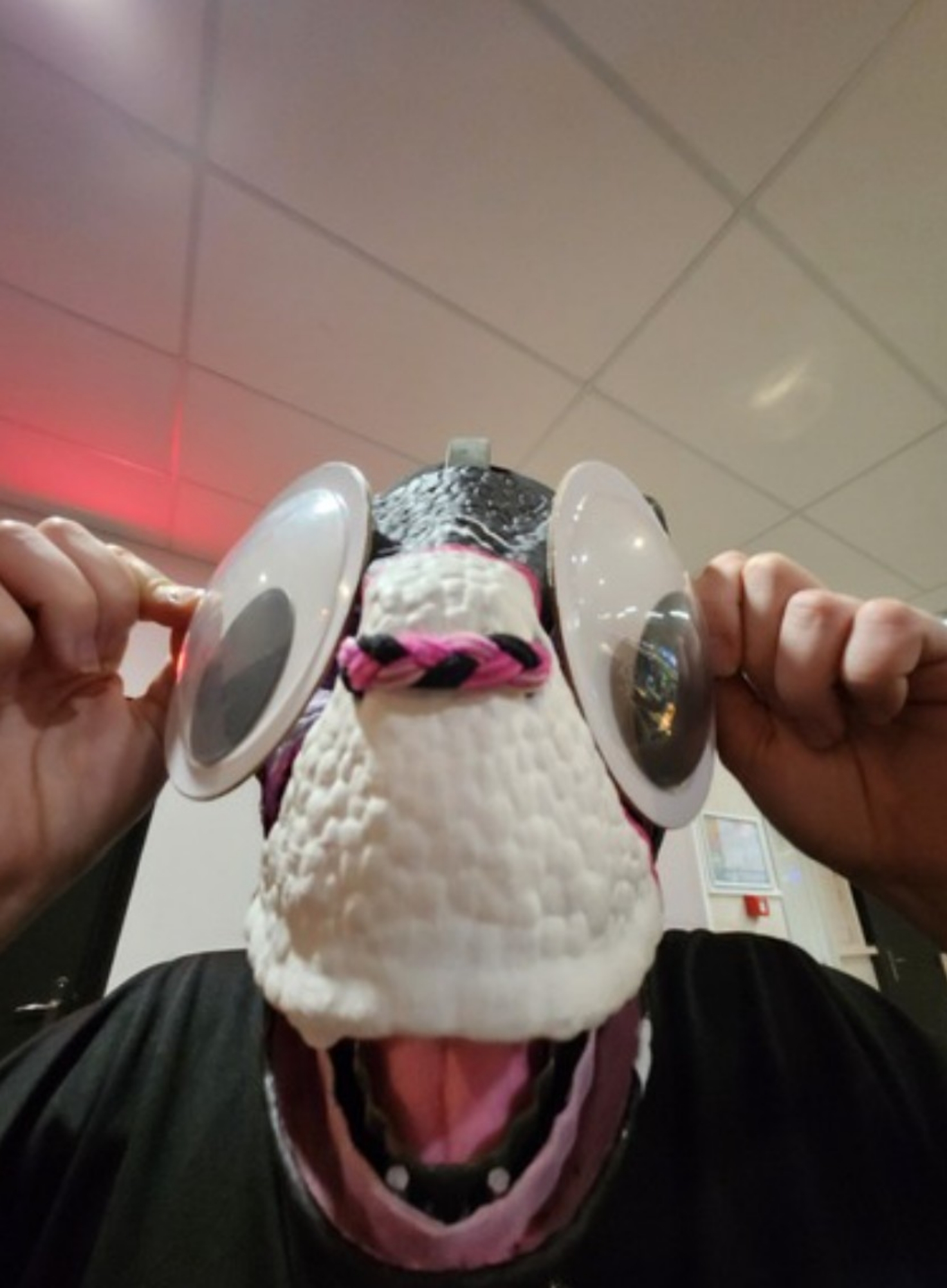 Conv/furmeet — photo 17