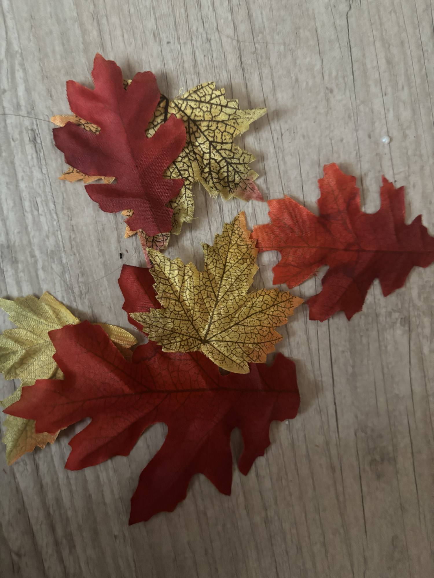 Feuille (Mao Mao) - Photo 1