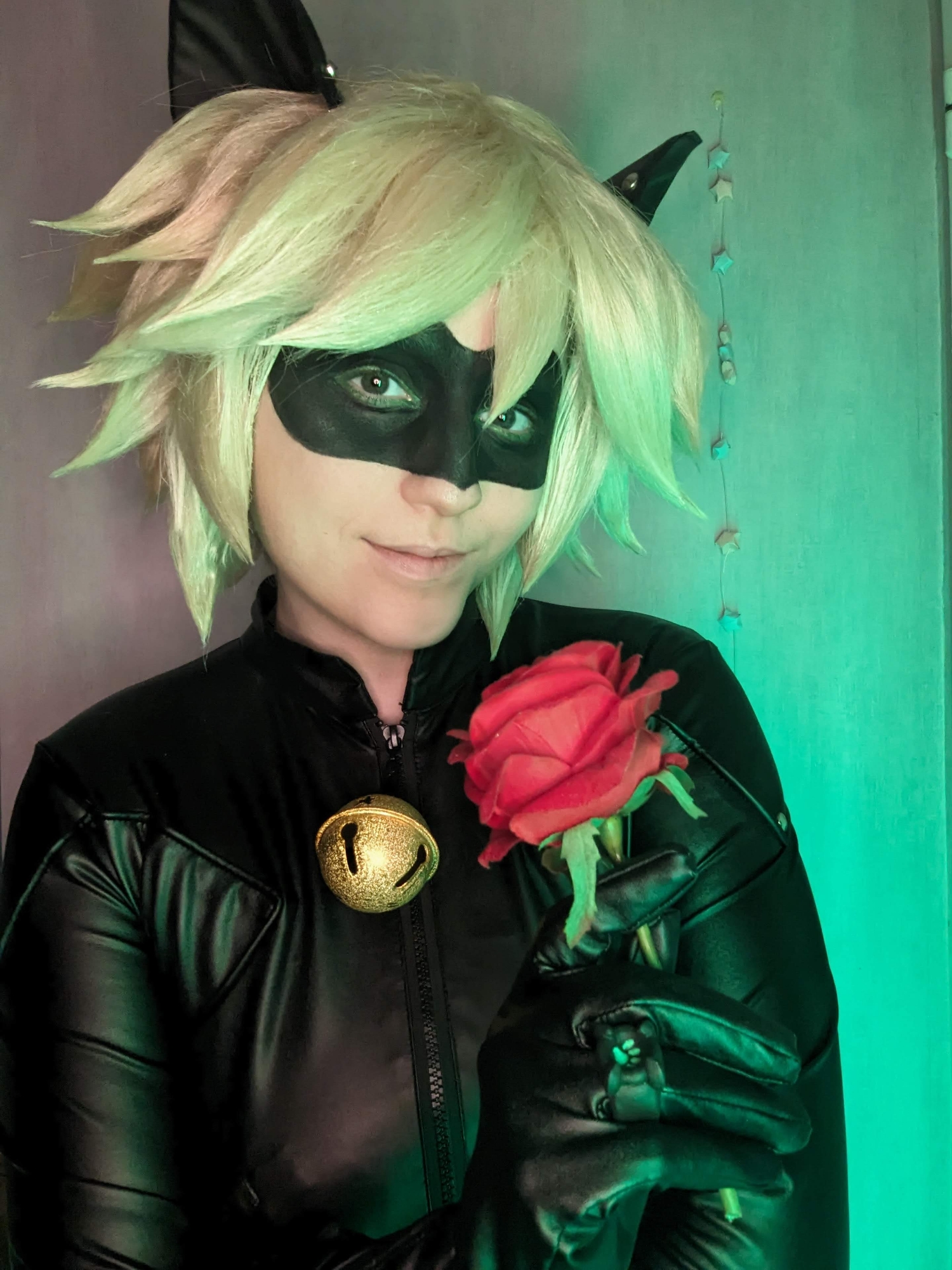 Chat noir — photo 12