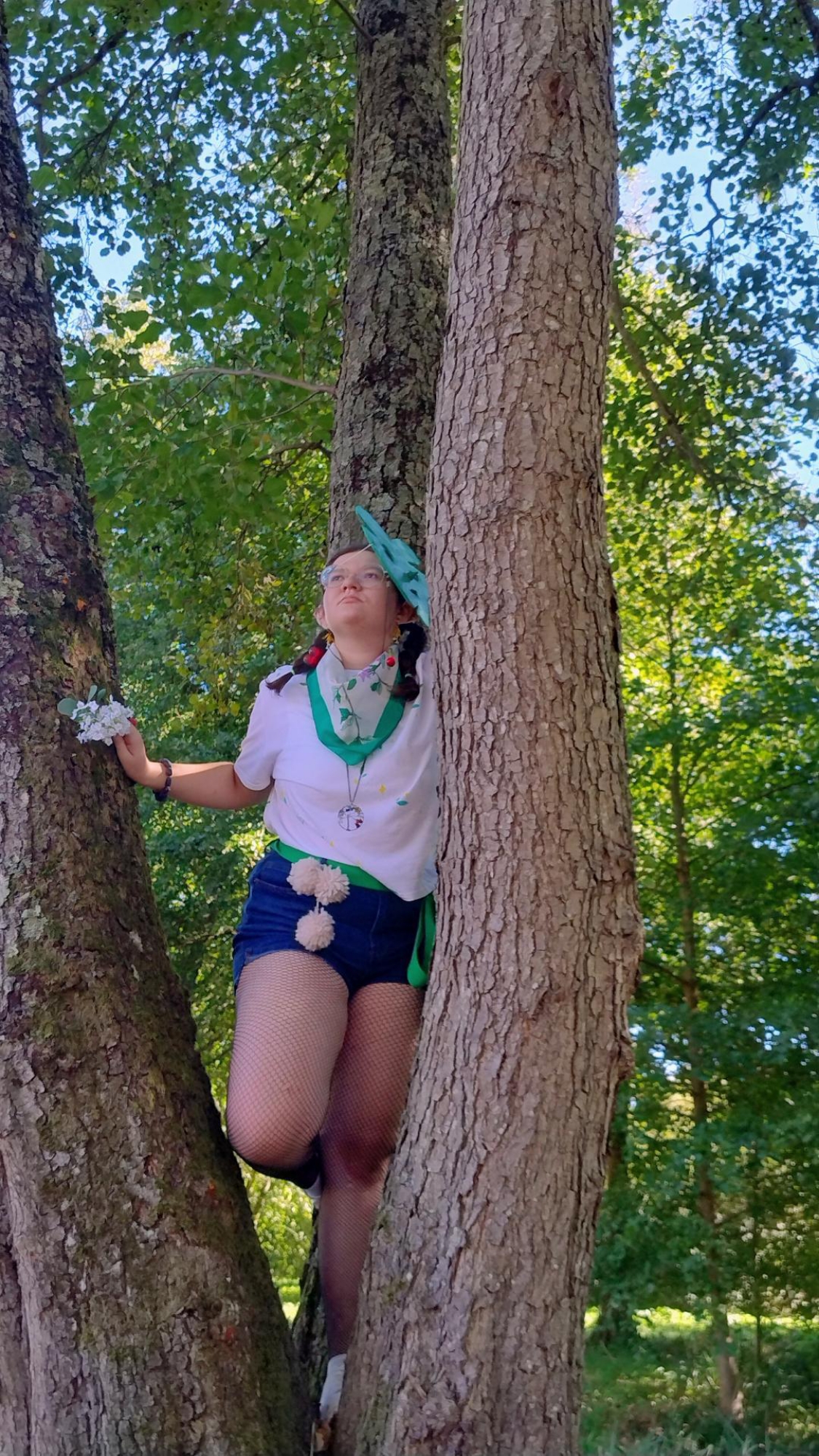 Korogu 🌳 — photo 8