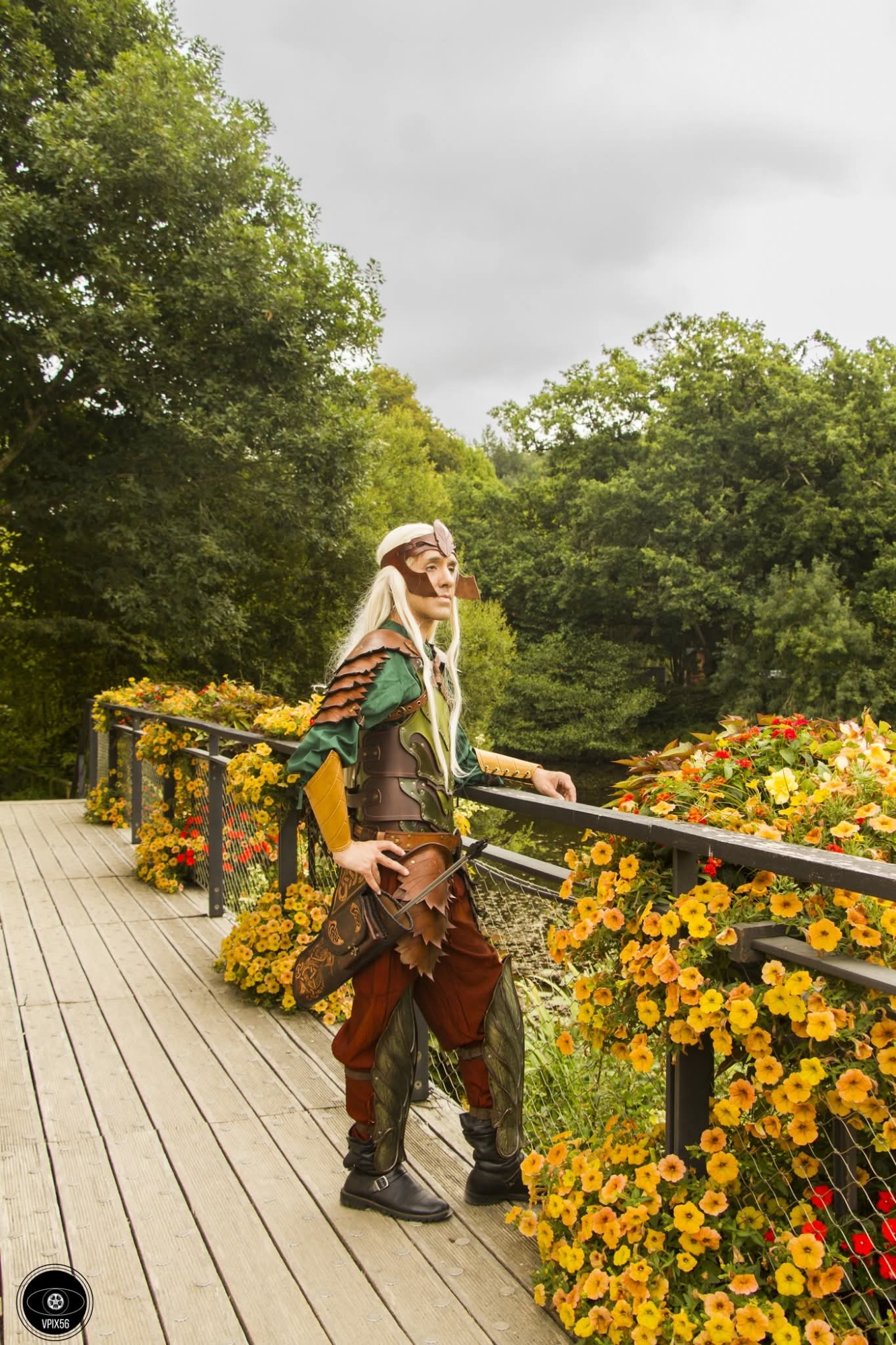 Elle sylvestre - Photo 1