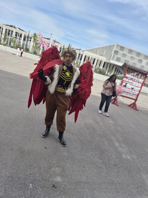 Marie_co – Hawks 