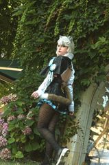 Lynette preview 2