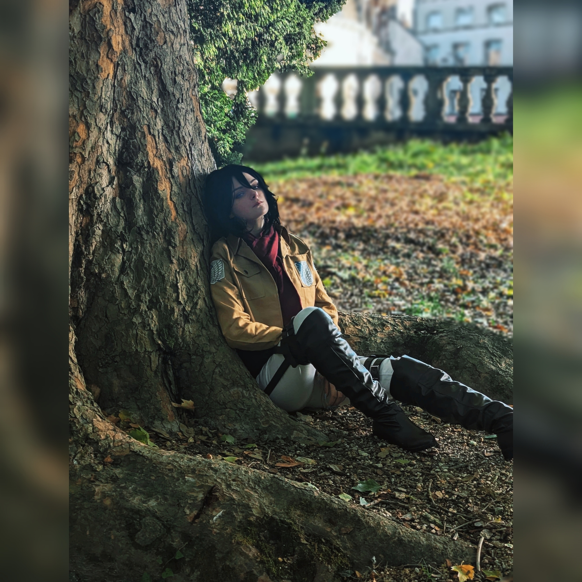 Mikasa — photo 6