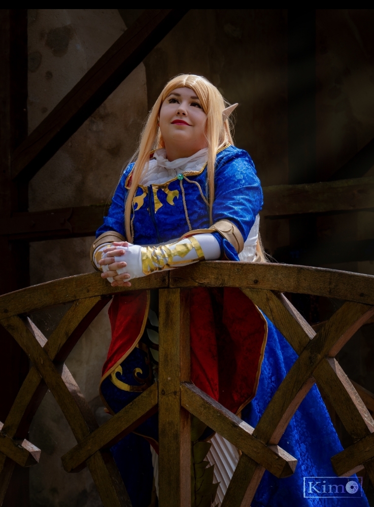 Zelda BOTW - Photo 6