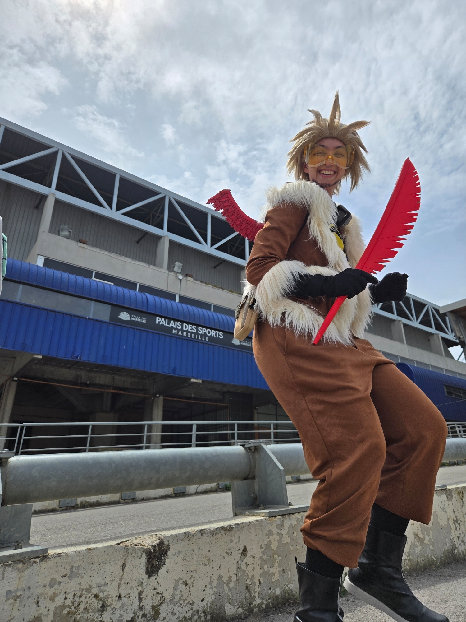 Hawks — photo 33