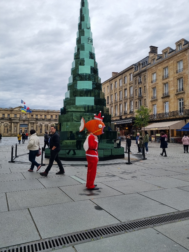 Magicarpe à Noël  - Photo 7