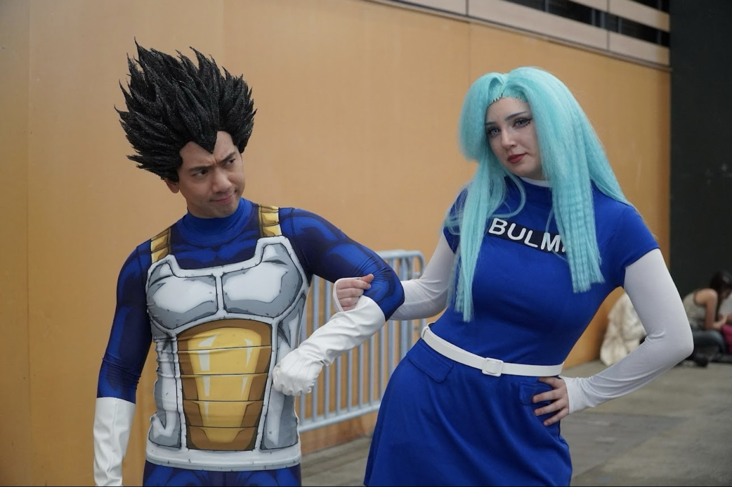 Bulma - Photo 13
