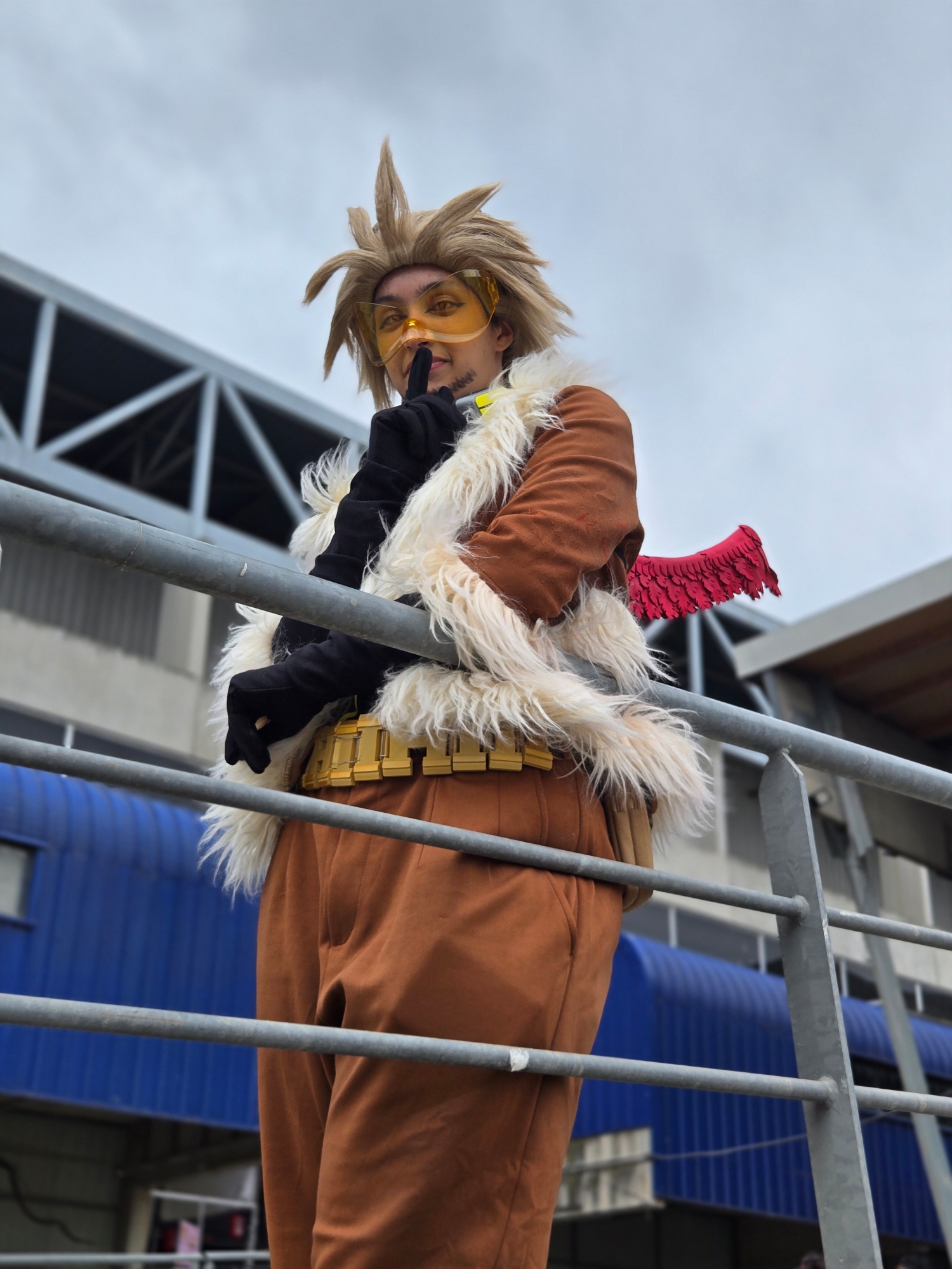 Hawks — photo 102