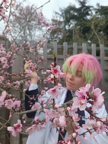 Sasha._.cos - Mitsuri garçon 