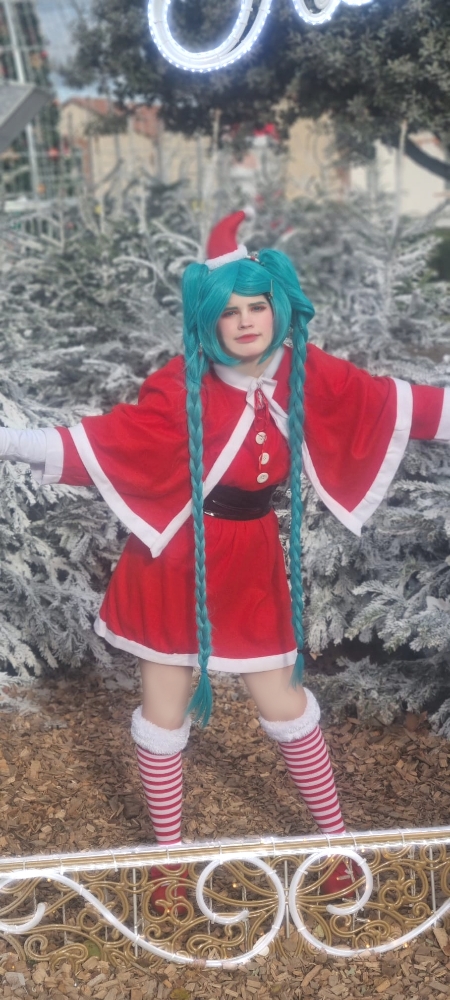 Miku - Photo 21