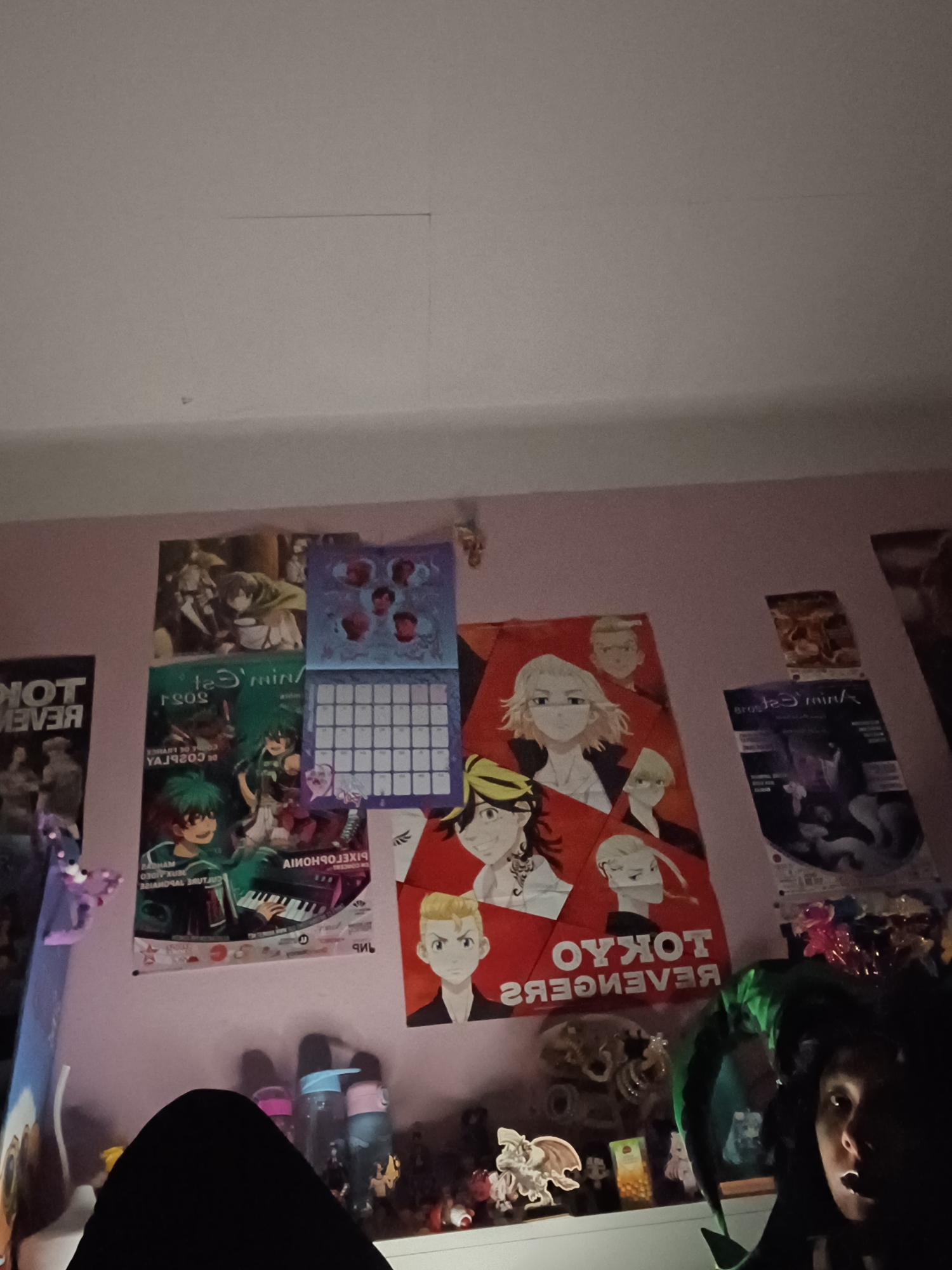 Harlequin, photo 5