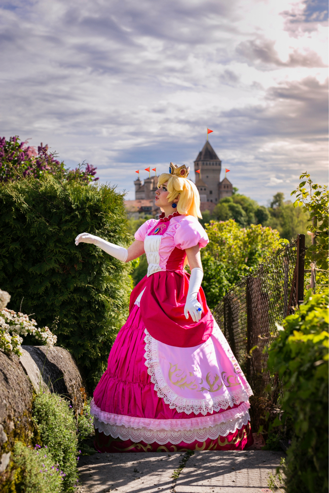 Peach and the Castel - Photo 8