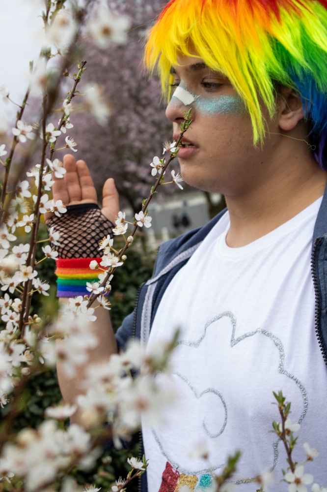My Little Pony — photo 5