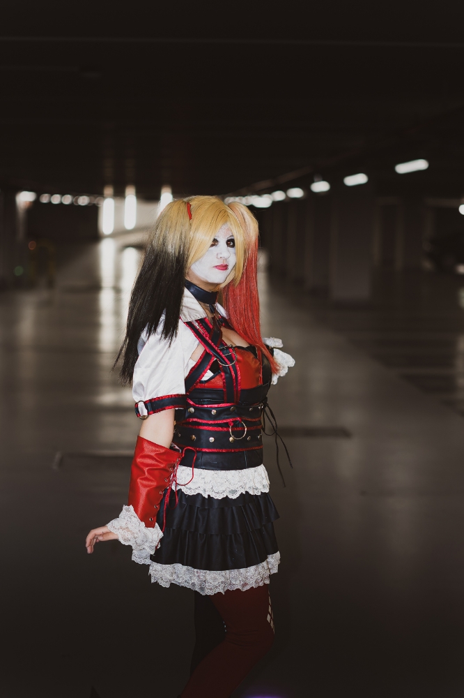 Harley quinn  - Photo 5