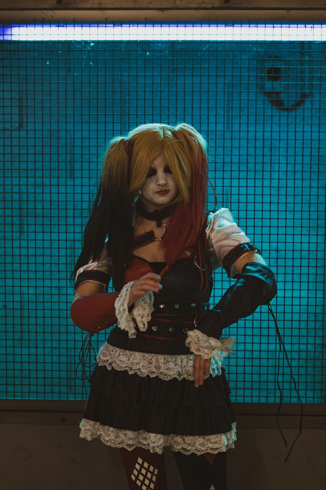 Harley quinn — photo 8