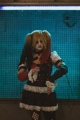 Harley quinn