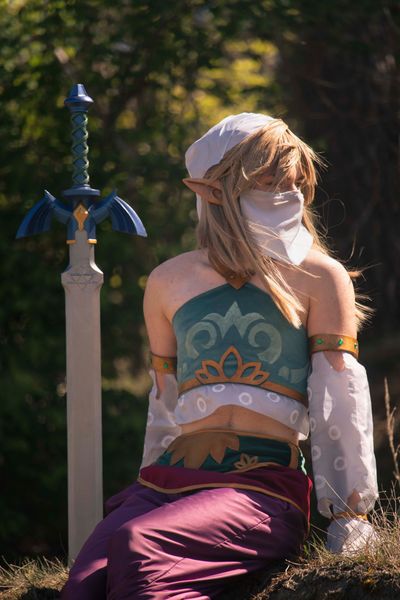 Calico_moss - Gerudo Link