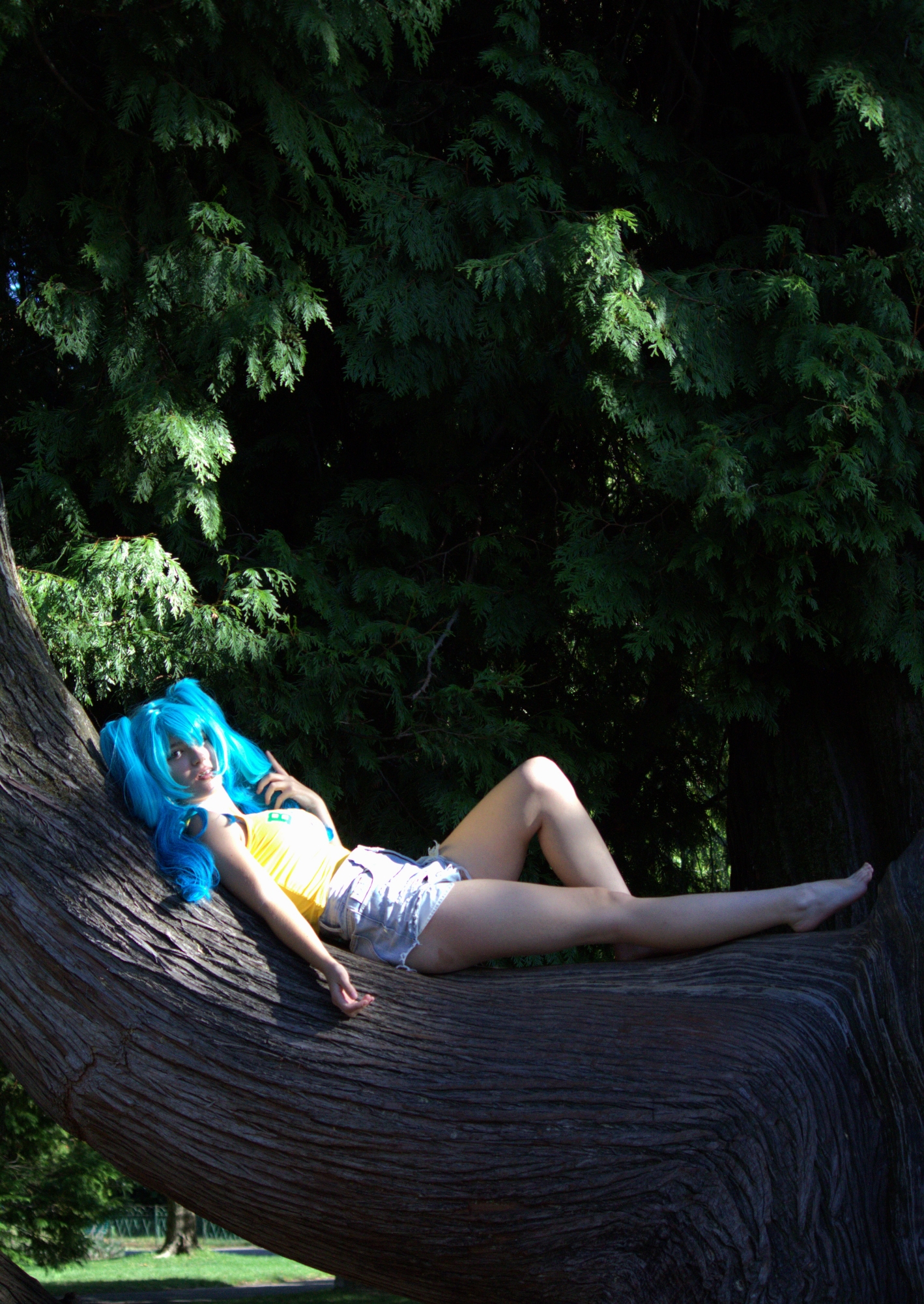 Hatsune Miku Brésil, photo 19