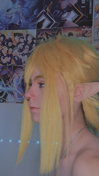 Willy_le_kiwi - Link