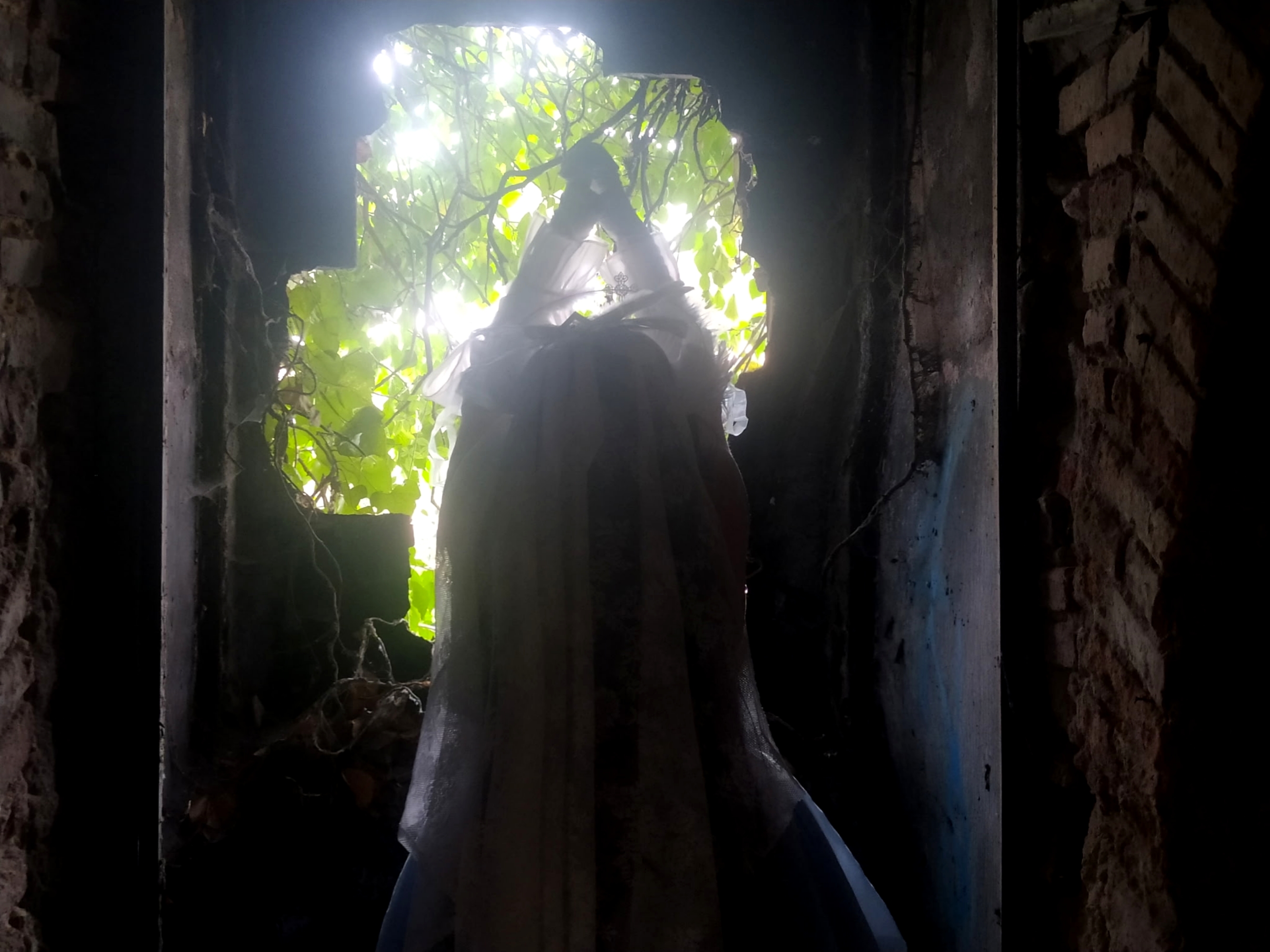 Columbina  - Photo 5