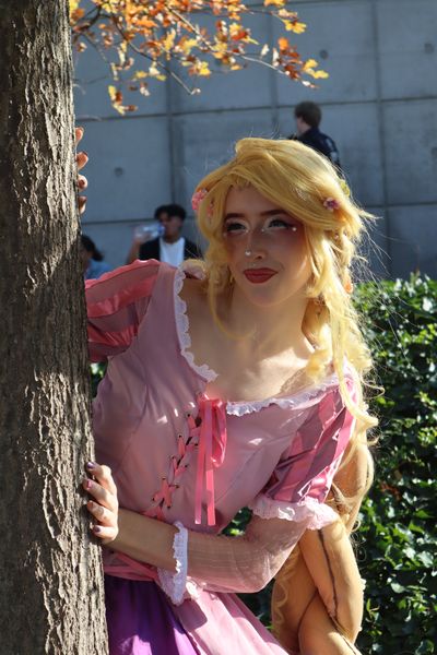 _s1lent_ech0splay, Rapunzel PM 2026