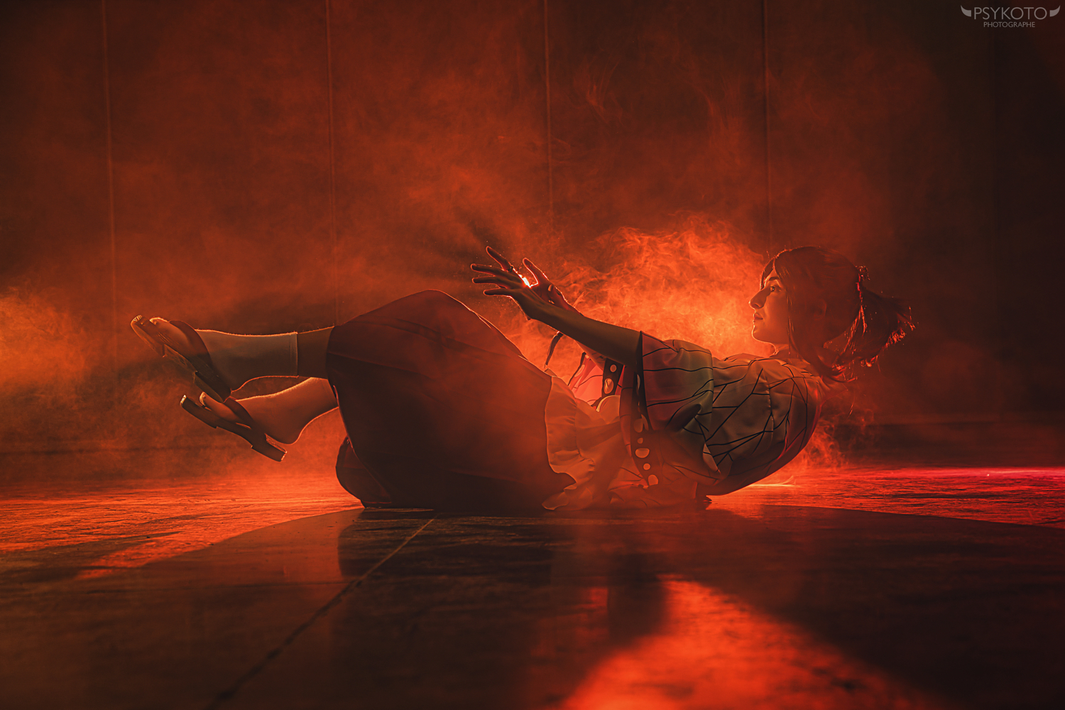 Shinobu Maid - Photo 1