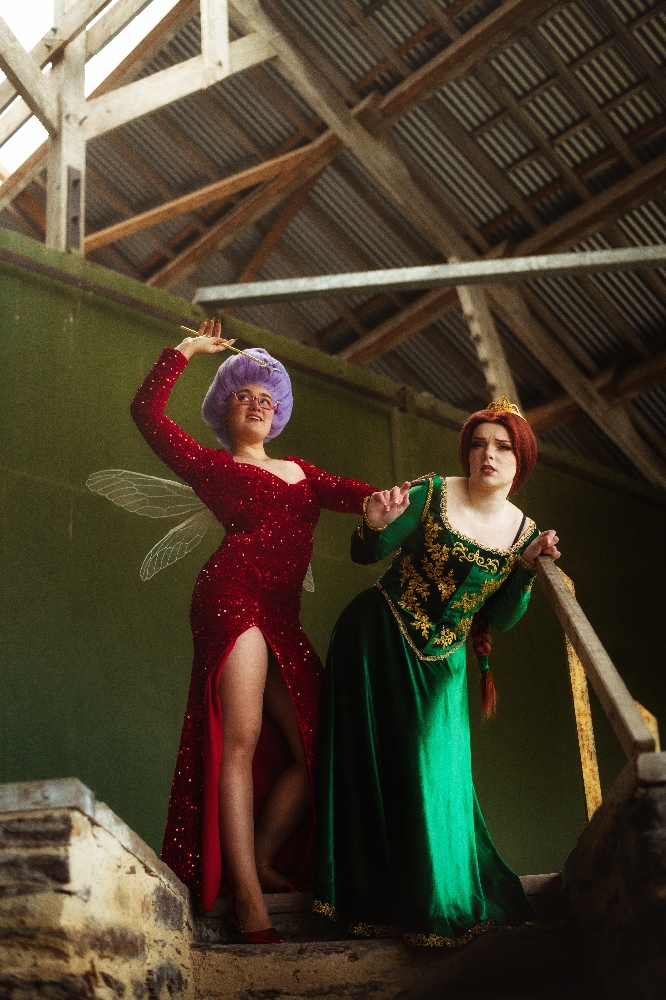 Marraine ~ bonne fée - Photo 1