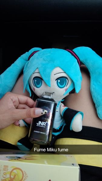 Busterr - Mikudayooo