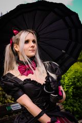 Black Cat DVA preview 2