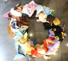 Famille Evoli preview 2