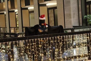 The Bat Santa preview 2