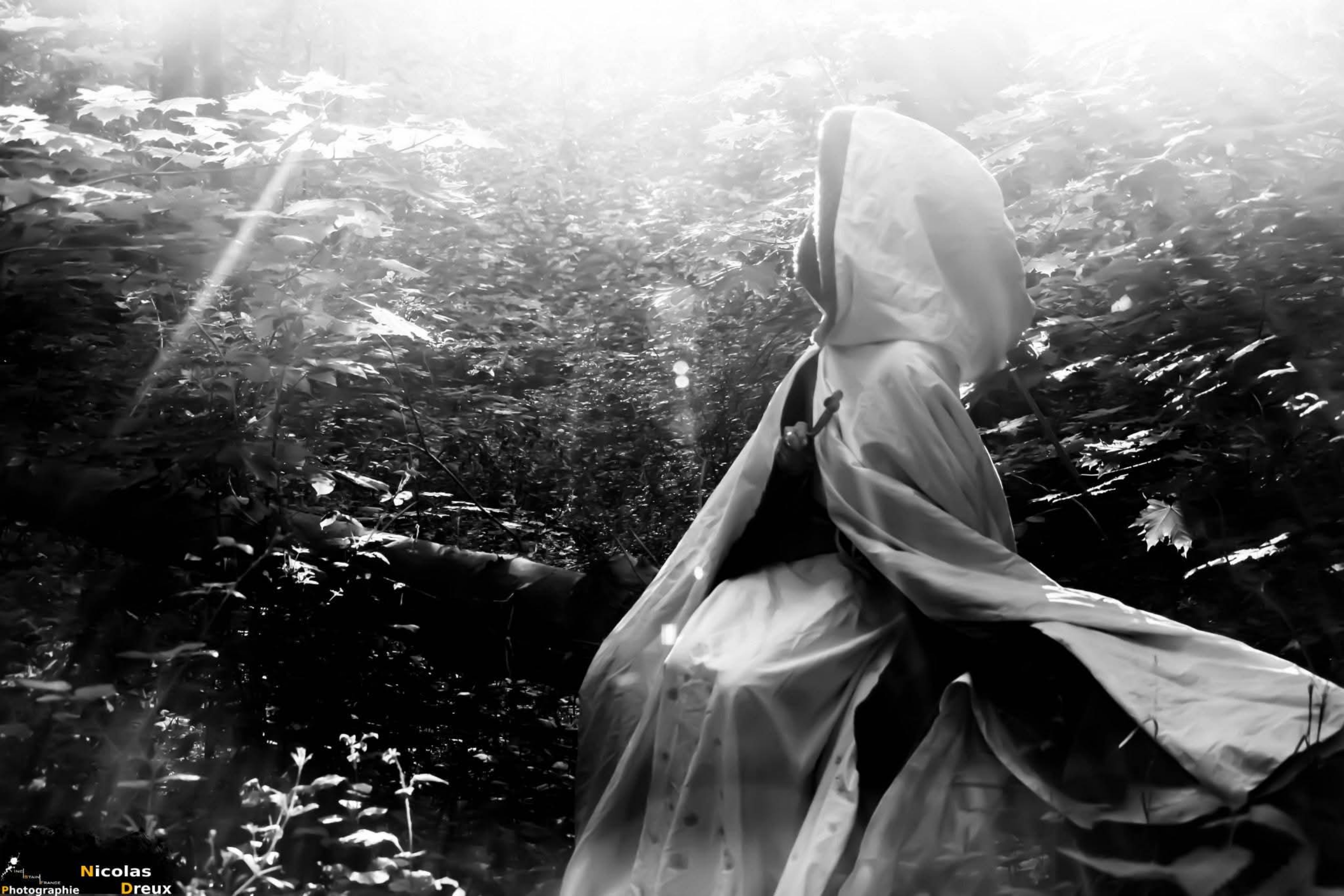 Mage des neiges — photo 9