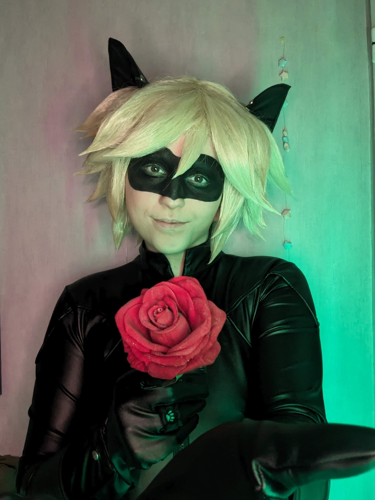 Chat noir — photo 13
