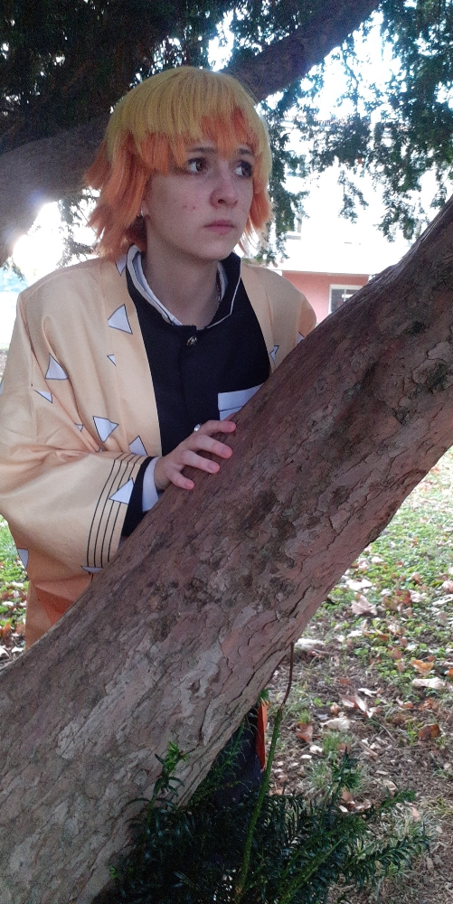 Zenitsu Agatsuma  - Photo 22