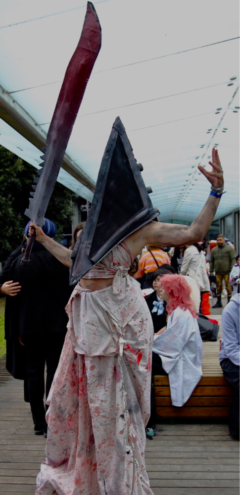 Pyramid head  - Photo 9