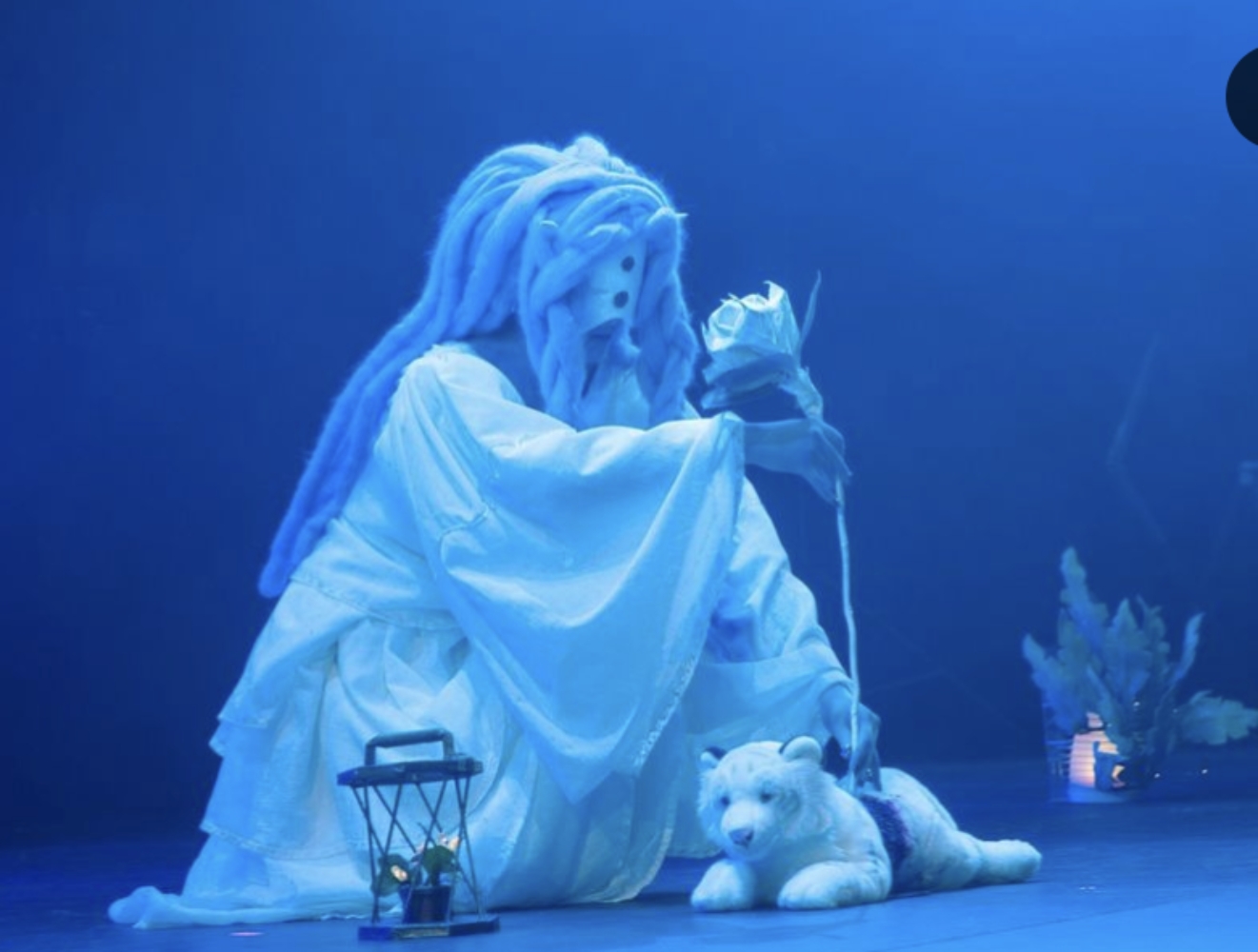 Mujika concours  - Photo 1